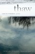 Thaw (eBook, ePUB) - Bild 1