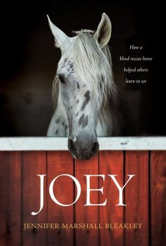 Joey - Bleakley, Jennifer Marshall