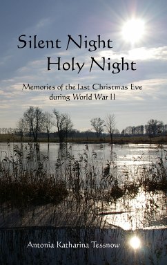 Silent Night, Holy Night (eBook, ePUB)