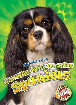 Cavalier King Charles Spaniels - Polinsky, Paige V