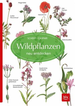 Wildpflanzen neu entdecken - Scherf, Gertrud;Caspari, Claus
