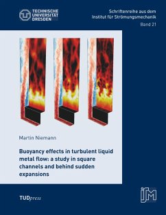 Buoyancy effects in turbulent liquid metal flow - Niemann, Martin