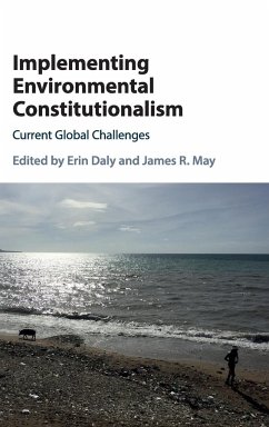 Implementing Environmental Constitutionalism