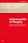 Subsistenzpolitik im Übergang (eBook, PDF)