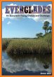 Everglades: An Ecosystem Facing Choices... - Bild 1