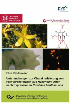 Untersuchungen zur Charakterisierung von Prenyltransferasen aus Hypericum-Arten nach Expression in Nicotiana benthamiana - Biedermann, Eline