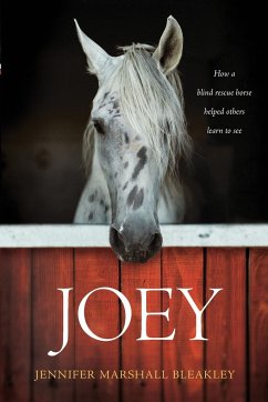 Joey - Bleakley, Jennifer Marshall