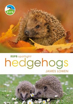 RSPB Spotlight Hedgehogs - Lowen, James