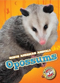 Opossums - Rathburn, Betsy