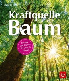 Kraftquelle Baum - Huber, Andrea