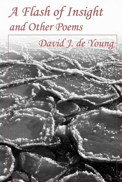 A Flash of Insight and Other Poems - de Young, David J