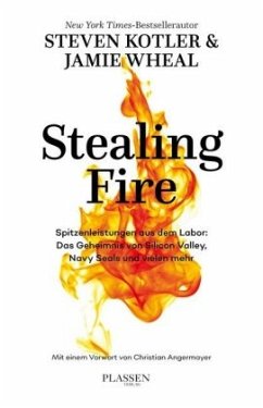 Stealing Fire - Kotler, Steven;Wheal, Jamie