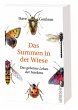 Das Summen in der Wiese - Bild 1