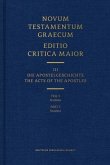 Novum Testamentum Graecum Editio Maior, Part 3 Studies (Hardcover)
