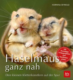 Haselmaus ganz nah - Seybold, Korinna