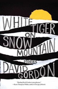 White Tiger on Snow Mountain: Stories - Gordon, David