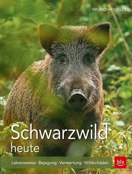 Schwarzwild heute von Bruno Hespeler portofrei bei bücher.de bestellen