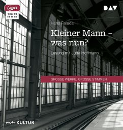 Kleiner Mann - was nun? - Fallada, Hans