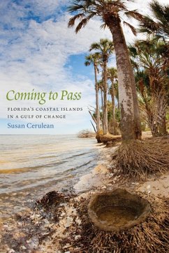 Coming to Pass (eBook, ePUB) - Cerulean, Susan