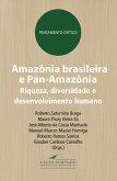 Amazônia brasileira e Pan-Amazônia (eBook, ePUB)