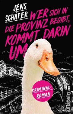 Wer sich in die Provinz begibt, kommt darin um (eBook, ePUB) - Schäfer, Jens