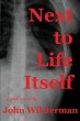 Next to Life Itself (eBook, ePUB) - Bild 1