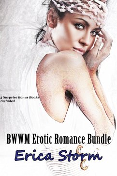 BWWM Romance Bundle (eBook, ePUB) - Storm, Erica