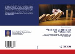 Project Risk Management for Professionals