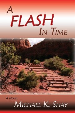 A Flash in Time (eBook, ePUB)