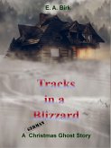 Tracks in a Blizzard (eBook, ePUB) Tracks in a Blizzard (eBook, ePUB)
