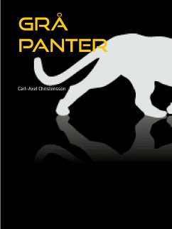 Grå panter (eBook, ePUB)