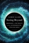 Seeing Beyond (eBook, ePUB)