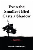 Even the Smallest Bird Casts a Shadow (eBook, ePUB)