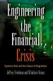 Engineering the Financial Crisis (eBook, ePUB)