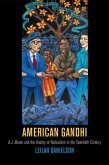 American Gandhi (eBook, ePUB)