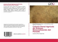 Colonia Penal Agrícola de Oriente, Resocialización del Penado - Barreto Medina, JOSE ANTONIO;Blanco López, LUIS EFREN;Sánchez M., Guillermo A.