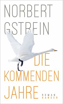 Die kommenden Jahre (eBook, ePUB) - Gstrein, Norbert