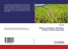 Silicon and Boron Nutrition of Rice in Wet Land Soils