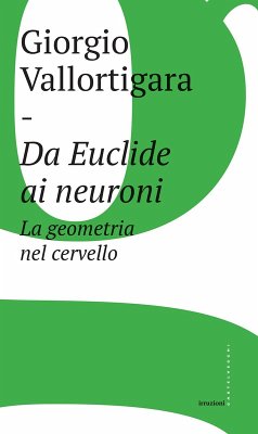 Cover Da Euclide ai neuroni. La geometria nel cervello