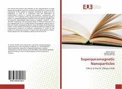 Superparamagnetic Nanoparticles - Ouari, Bachir;Madani, Malika;Difi, Sid Ahmed