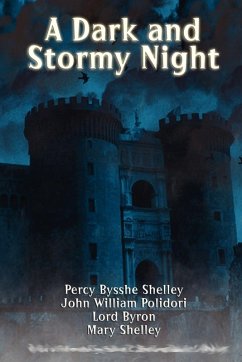 Cover A Dark and Stormy Night (eBook, ePUB)