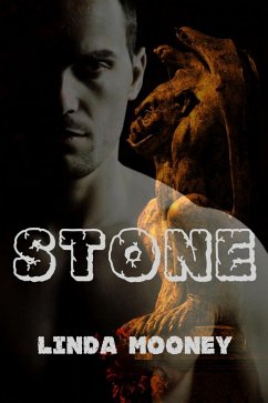 Cover Stone (eBook, ePUB)