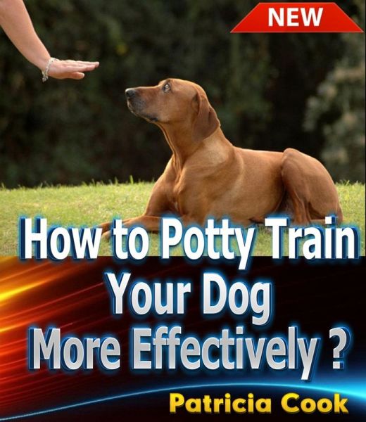 How to Potty Train Your Dog More Effectively ? (eBook, ePUB) How to Potty Train Your Dog More Effectively ? (eBook, ePUB)