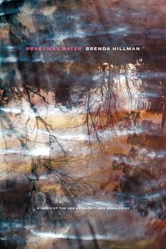 Practical Water (eBook, ePUB) - Hillman, Brenda