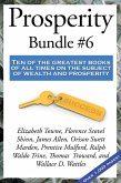 Prosperity Bundle #6 (eBook, ePUB)