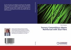 Ternary Cementitious Matrix Reinforced with Sisal Fibre