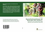 Beerenfarbmutationen der Weinrebe Vitis vinifera L.