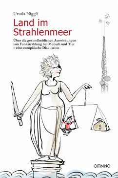 Land im Strahlenmeer (eBook, ePUB) - Niggli, Ursula