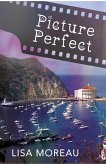 Picture Perfect (eBook, ePUB)