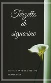 Terzetto di signorine (eBook, ePUB)